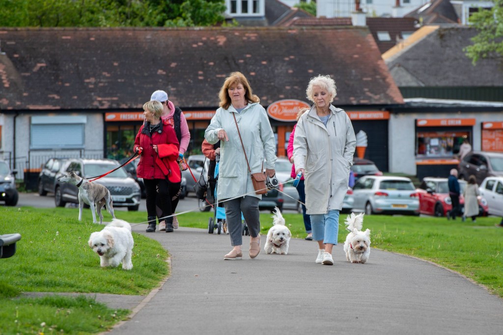Owners take the lead as mass dog walk takes place in Barshaw Park in&nbsp;Paisley