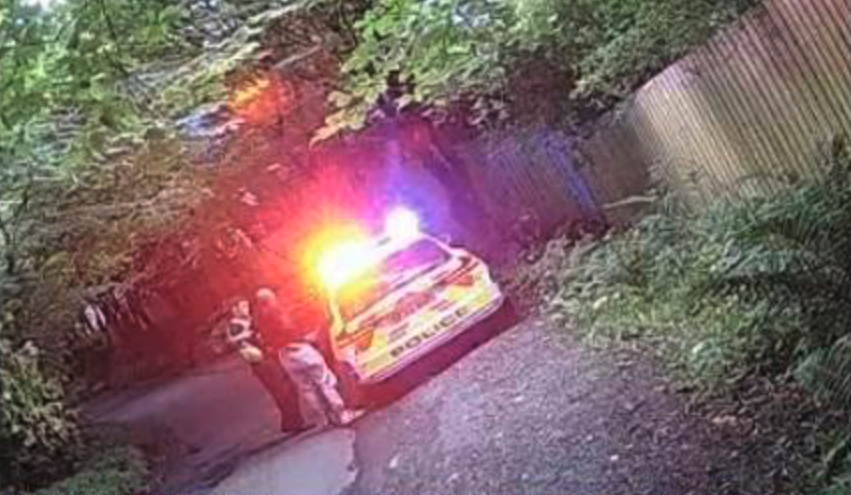 🚨 DRINK DRIVER ARRESTED AFTER CRASHING INTO TREE NEAR RENFREW