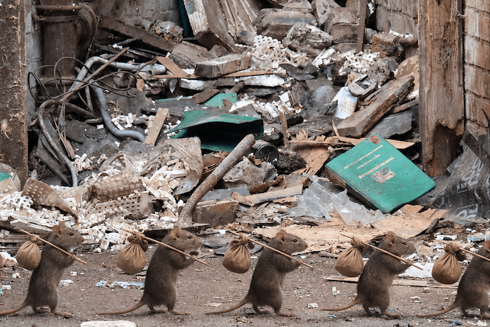 Westend Community Turned Upside Down as Well Street Building&nbsp;Demolished