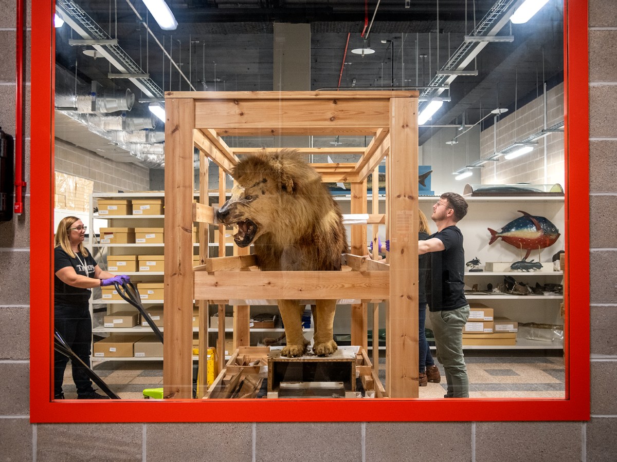 Final phase of Paisley Museum transformation to be complete by the end of&nbsp;2026