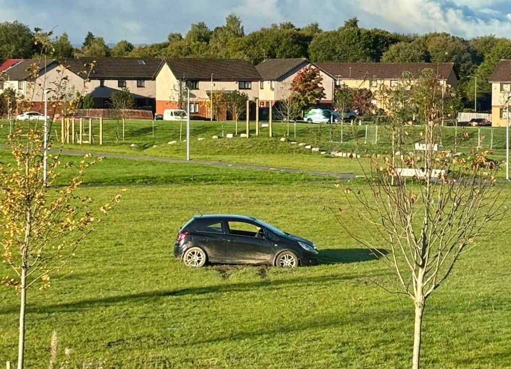 A black car parked on a grassy area, with residential houses in the background and a few trees in the foreground.